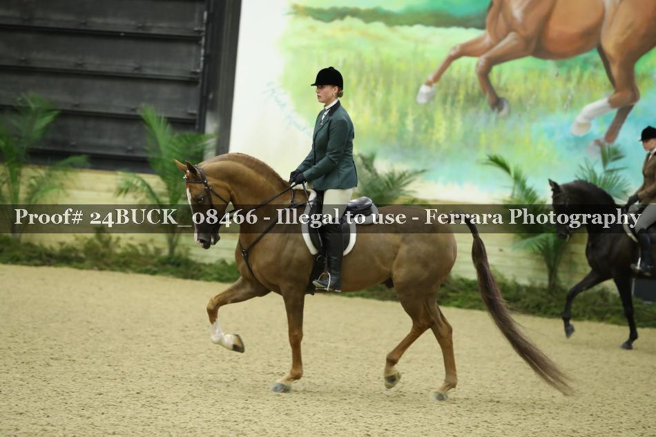 Proof 24BUCK_08466