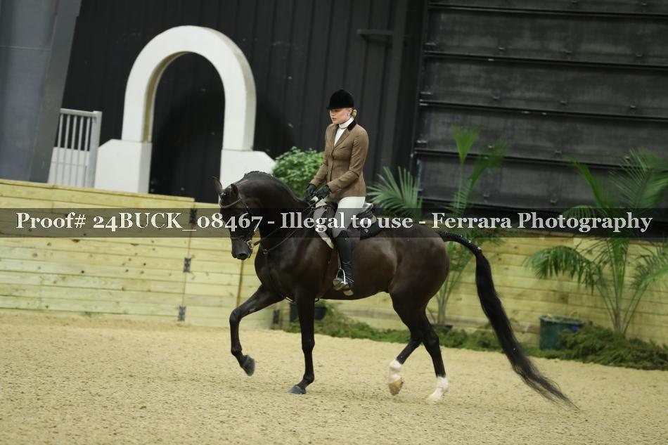 Proof 24BUCK_08467