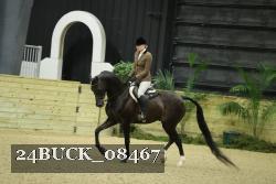 24BUCK_08467 proof