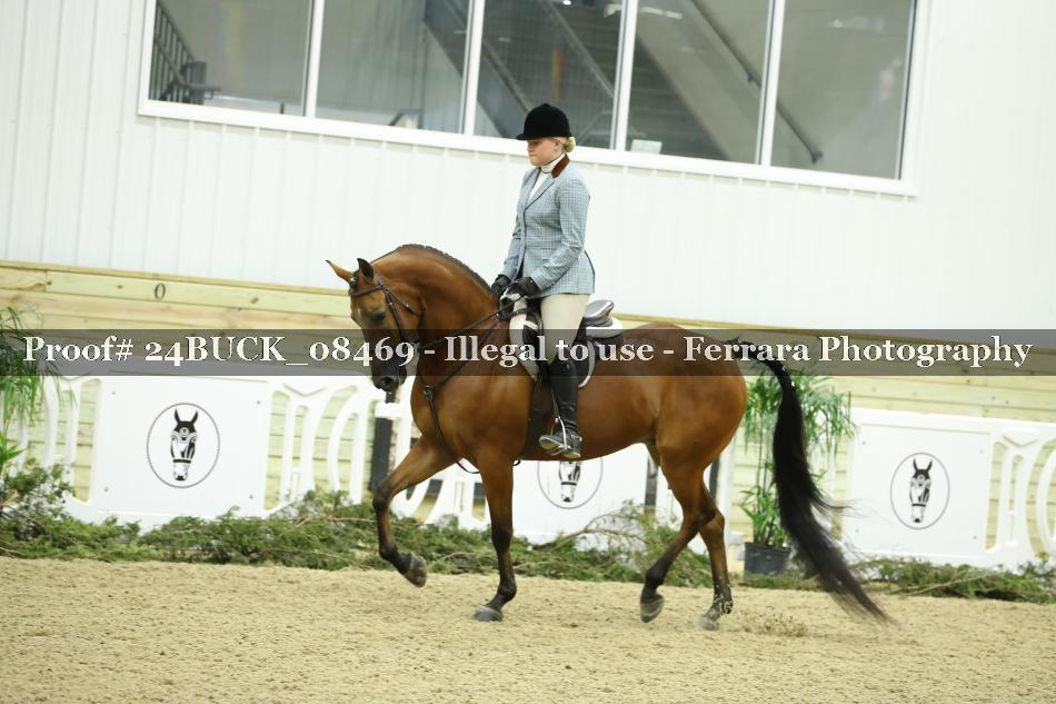 Proof 24BUCK_08469