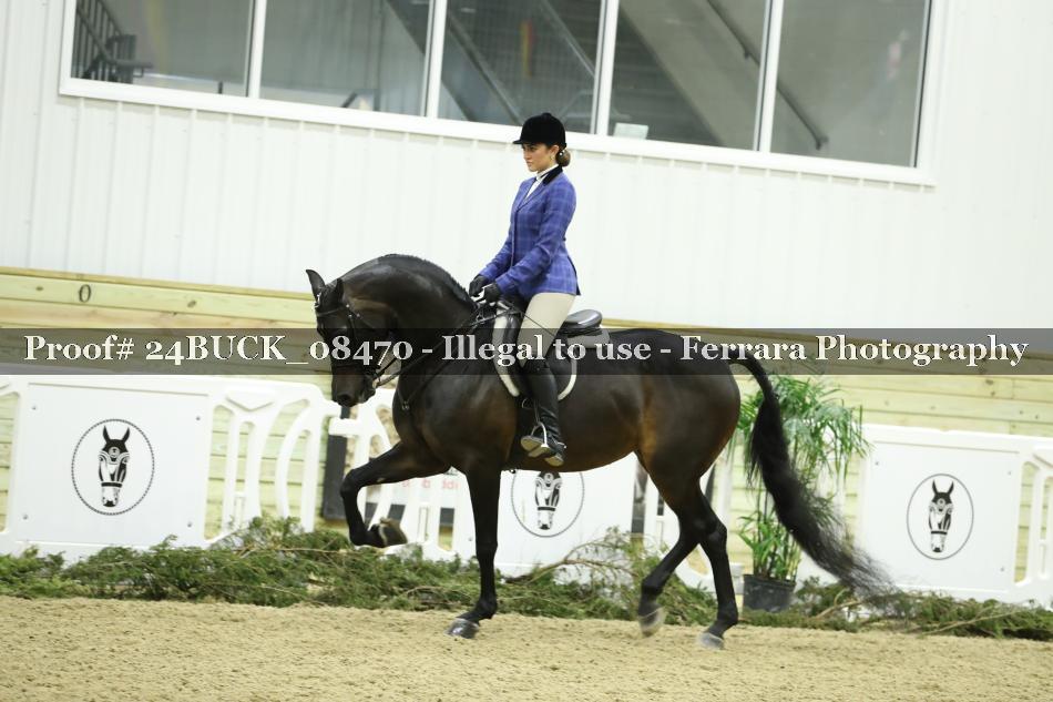 Proof 24BUCK_08470
