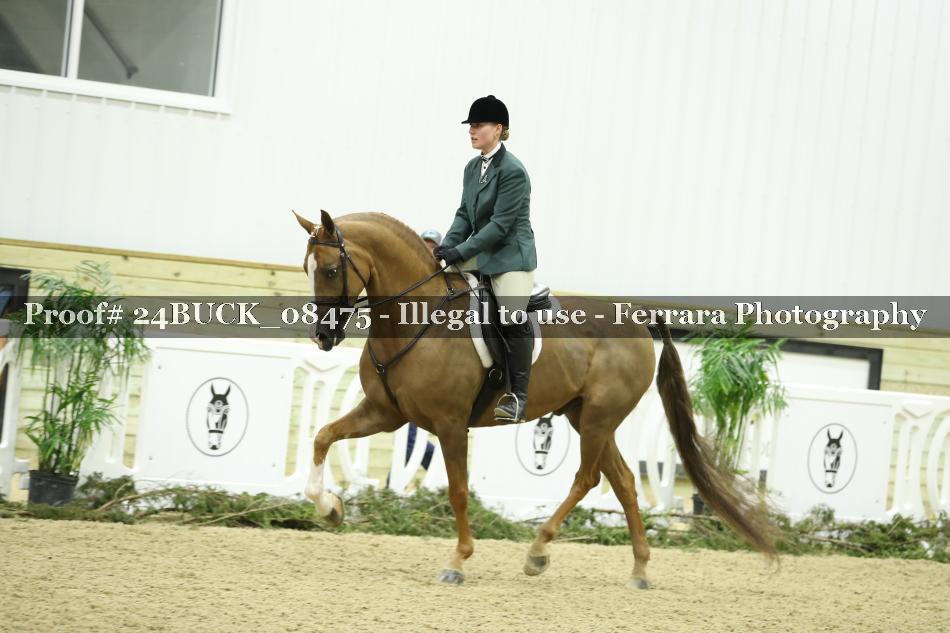 Proof 24BUCK_08475