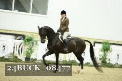 24BUCK_08477 proof