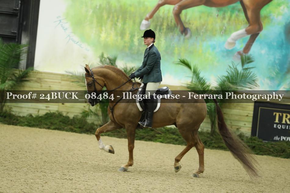 Proof 24BUCK_08484