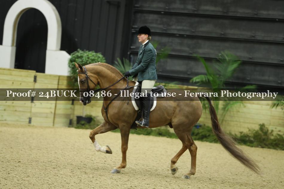 Proof 24BUCK_08486