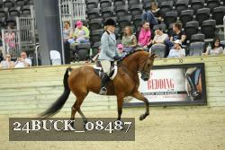 24BUCK_08487 proof