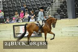 24BUCK_08488 proof