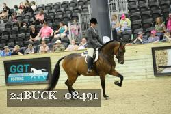 24BUCK_08491 proof