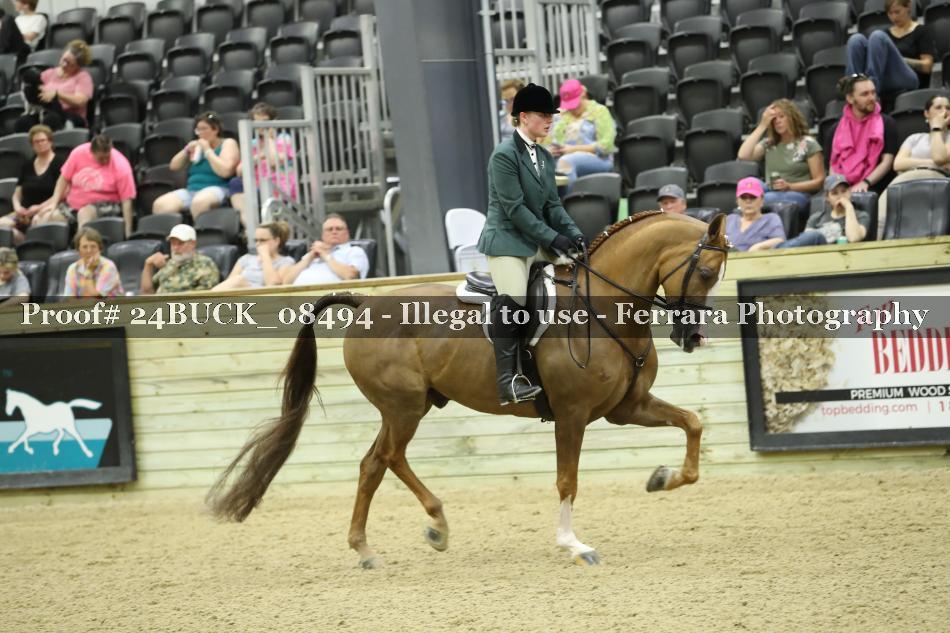 Proof 24BUCK_08494