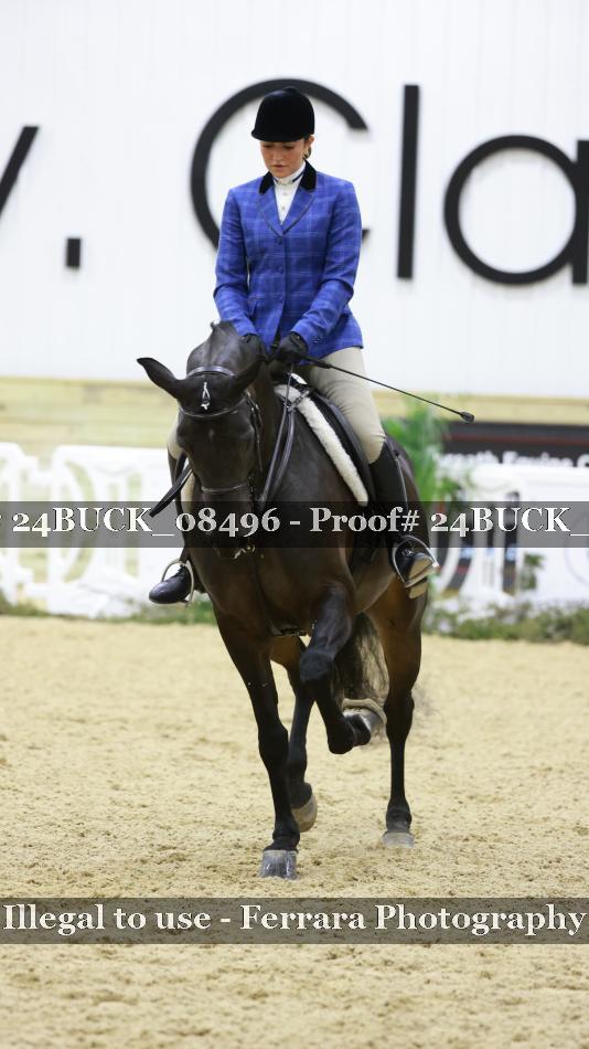 Proof 24BUCK_08496