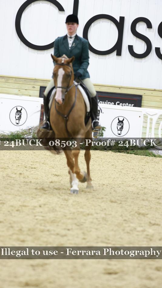 Proof 24BUCK_08503