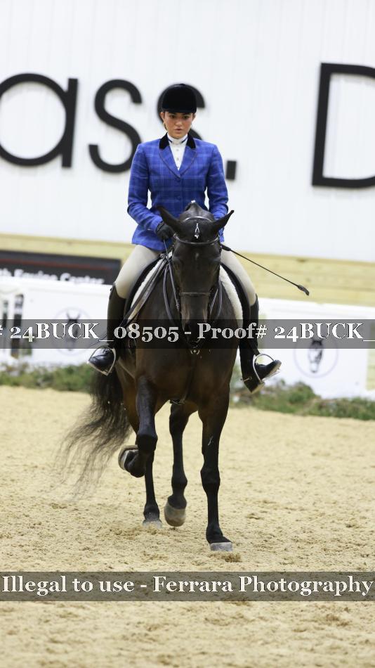 Proof 24BUCK_08505