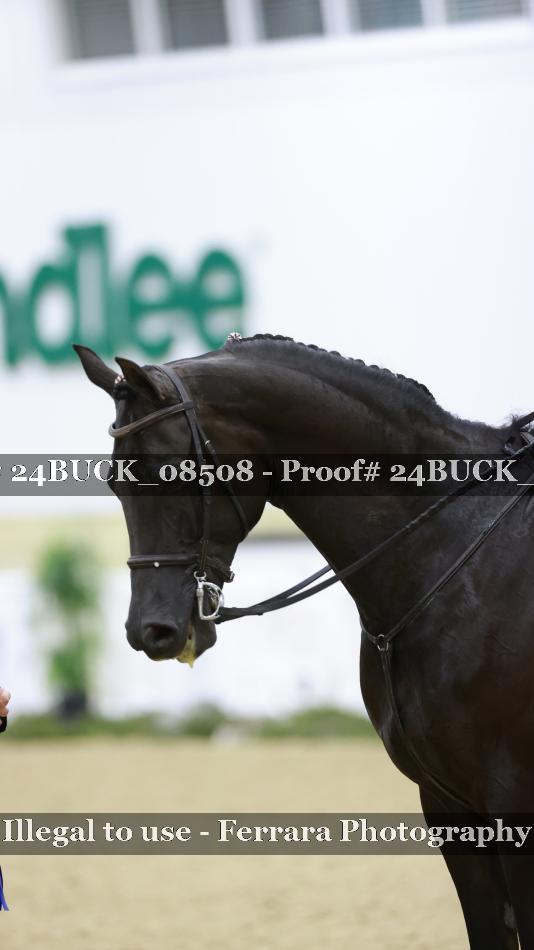Proof 24BUCK_08508