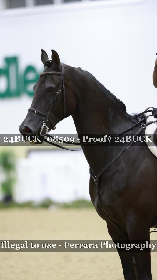 Proof 24BUCK_08509