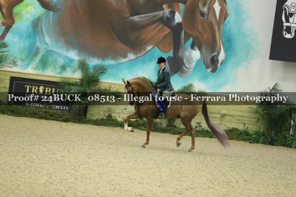 Proof 24BUCK_08513