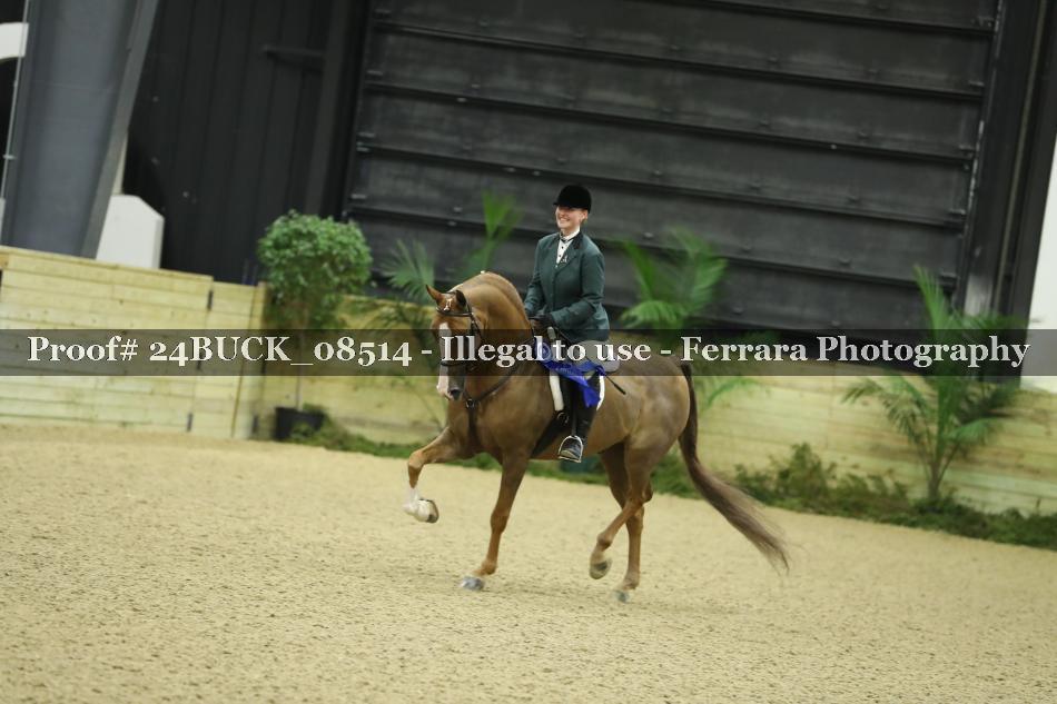 Proof 24BUCK_08514