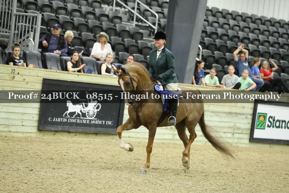 Proof 24BUCK_08515