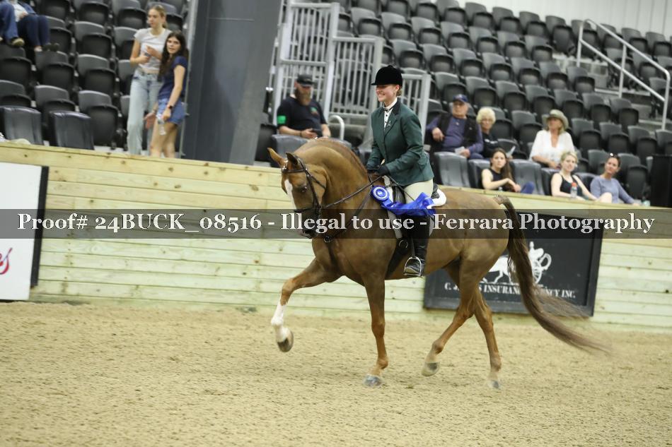 Proof 24BUCK_08516