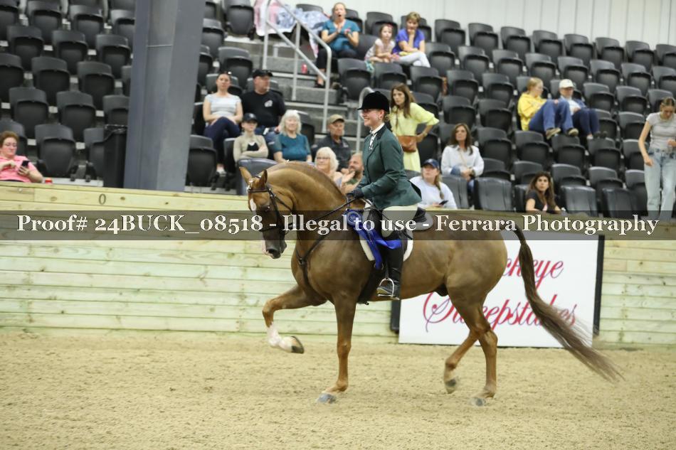 Proof 24BUCK_08518