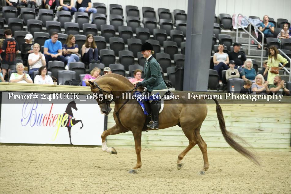 Proof 24BUCK_08519