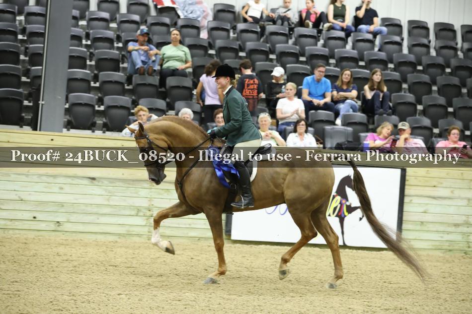 Proof 24BUCK_08520