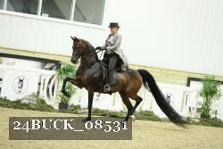 24BUCK_08531 proof