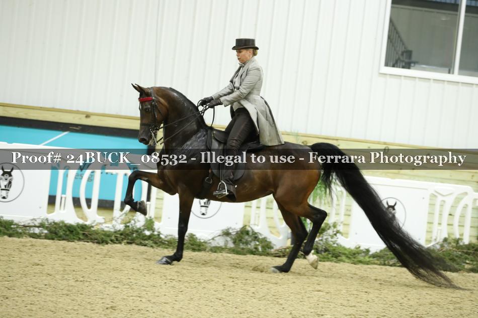 Proof 24BUCK_08532