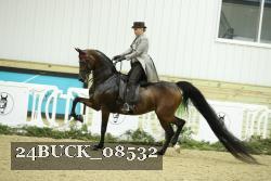 24BUCK_08532 proof