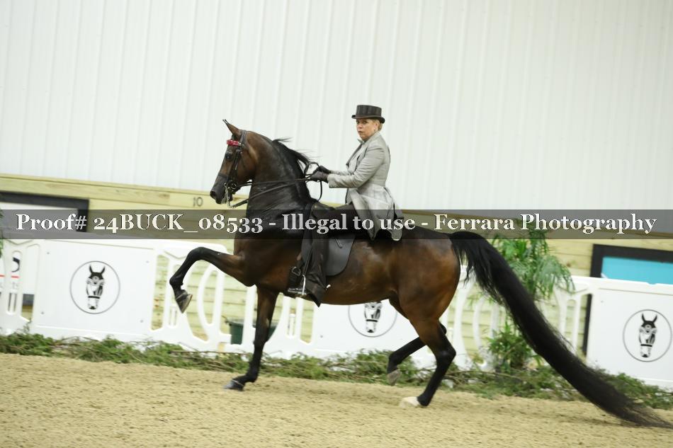 Proof 24BUCK_08533