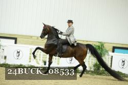 24BUCK_08533 proof