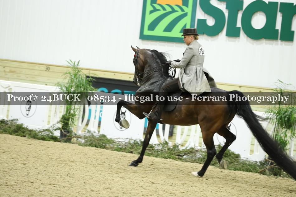 Proof 24BUCK_08534