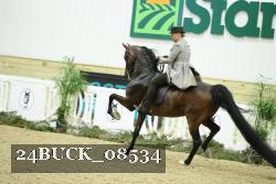 24BUCK_08534 proof