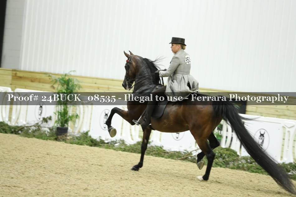 Proof 24BUCK_08535