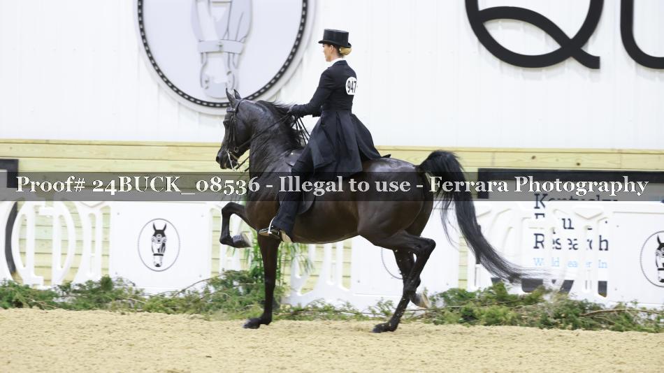 Proof 24BUCK_08536