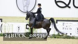 24BUCK_08536 proof