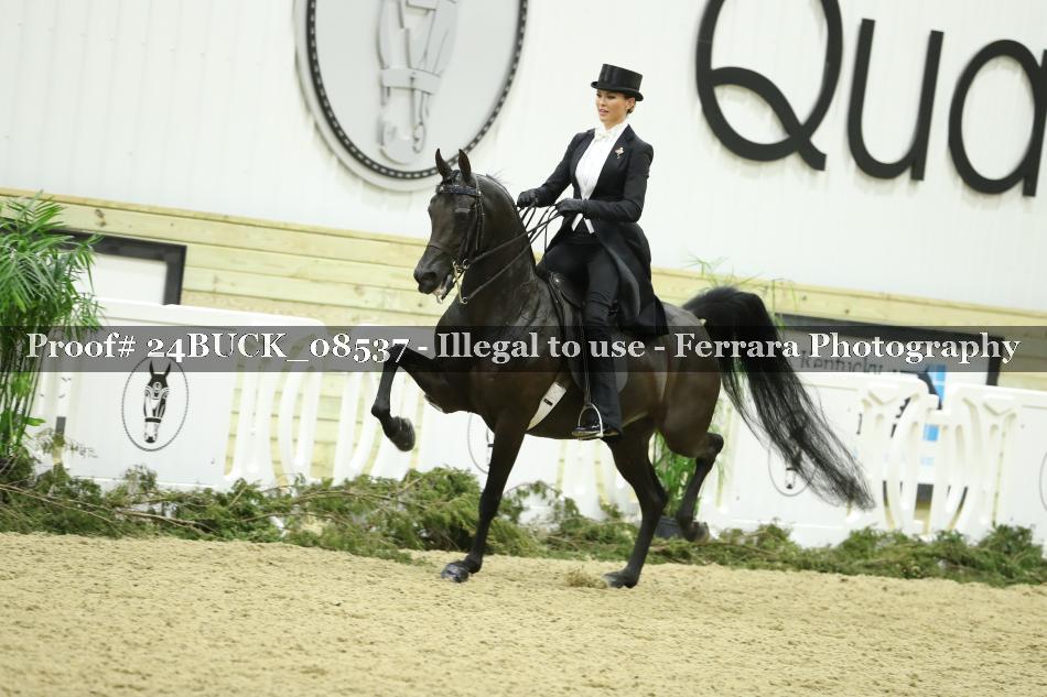 Proof 24BUCK_08537