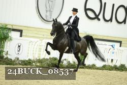 24BUCK_08537 proof