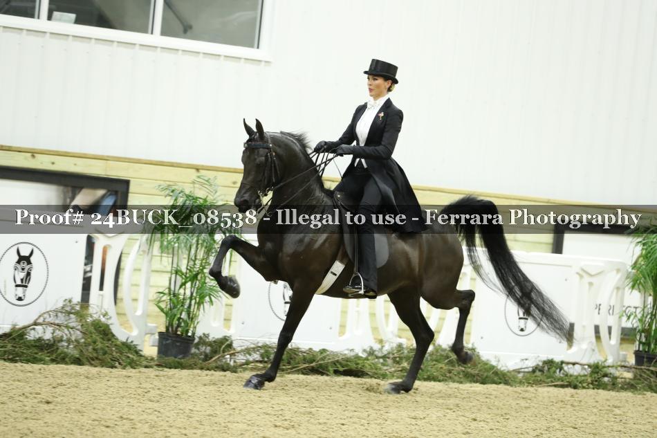 Proof 24BUCK_08538