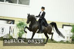24BUCK_08538 proof