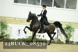 24BUCK_08539 proof