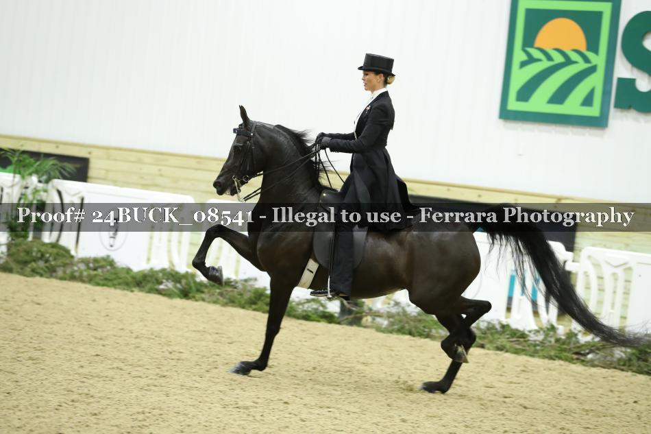 Proof 24BUCK_08541