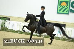 24BUCK_08541 proof
