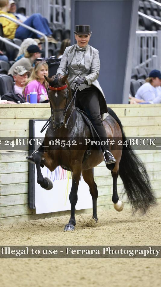 Proof 24BUCK_08542