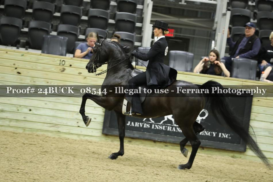 Proof 24BUCK_08544