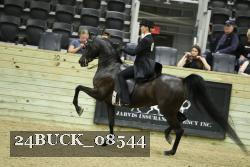 24BUCK_08544 proof