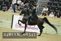24BUCK_08545 proof
