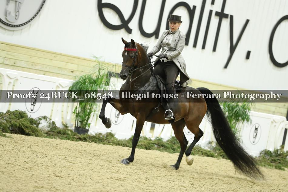 Proof 24BUCK_08548