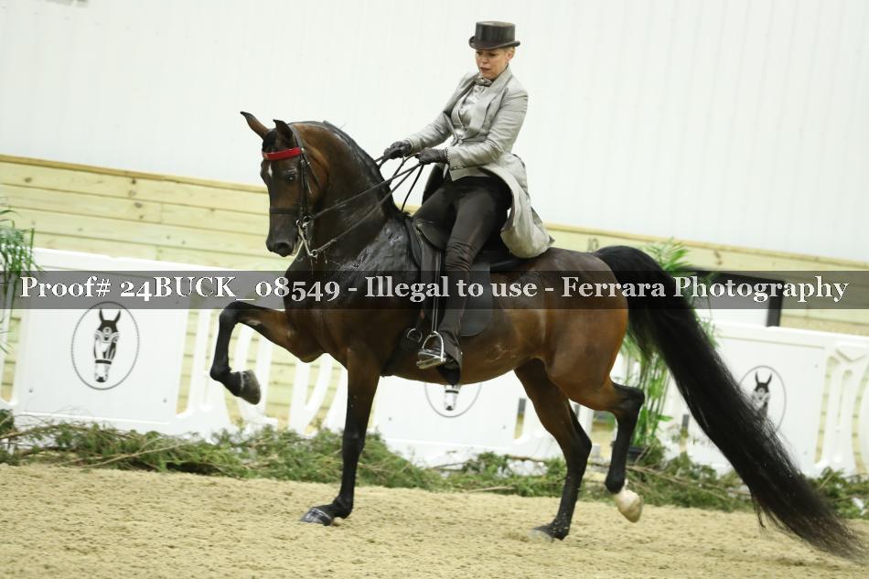 Proof 24BUCK_08549