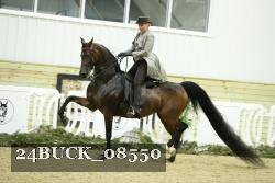 24BUCK_08550 proof