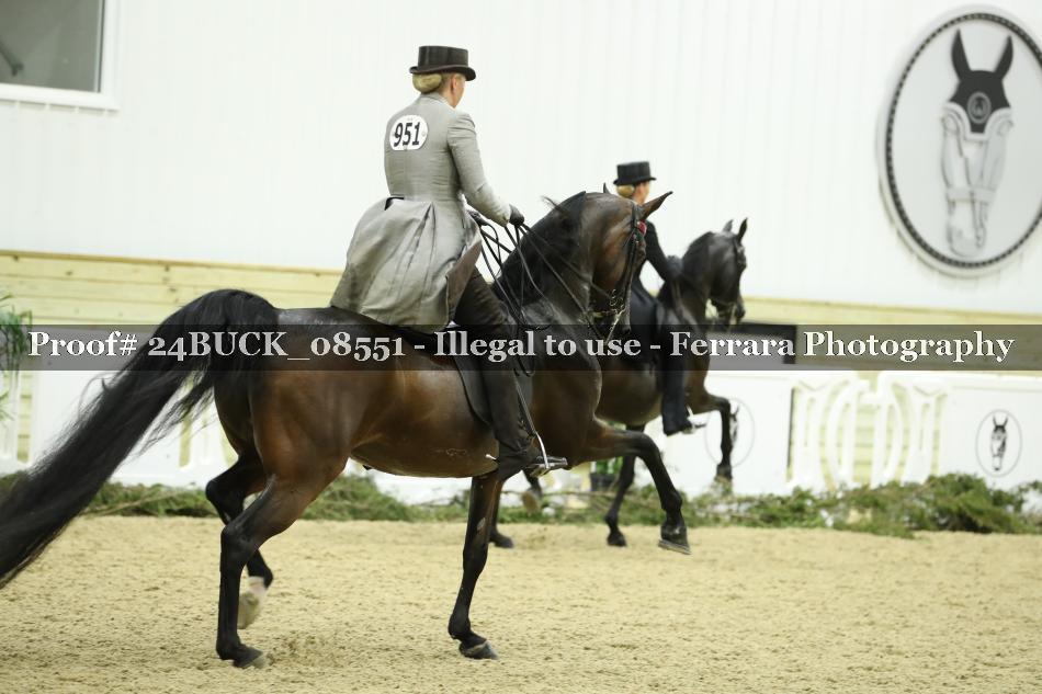 Proof 24BUCK_08551